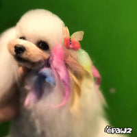 Pet Hair Chalk-Pink (TC01)