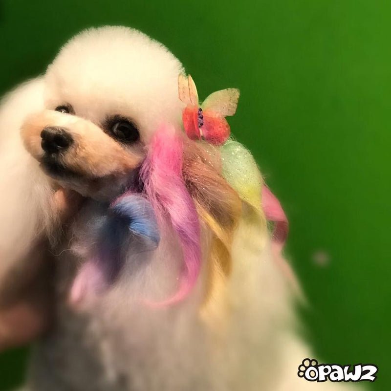 Pet Hair Chalk - 3 Colors Set (TC13)