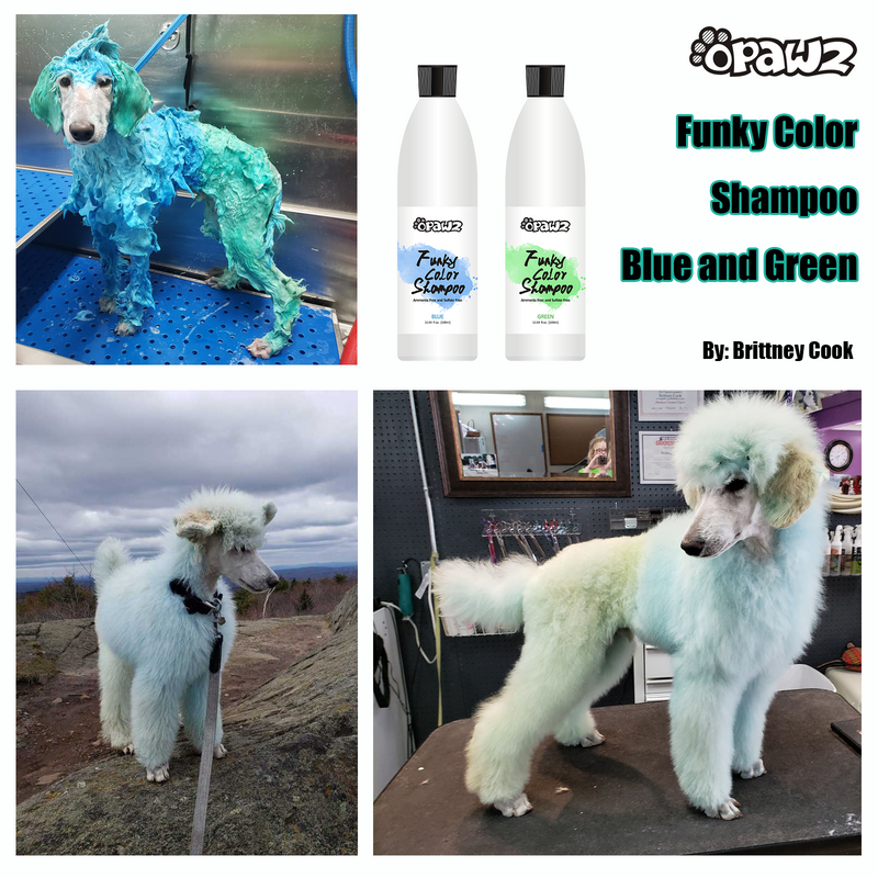 OPAWZ Funky Color Shampoo - Green - 500ml (FC04)