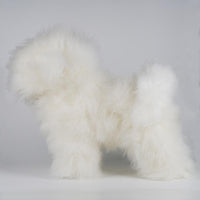 OPAWZ 1:1.2 Sized Bichon Model Dog Value Pack - White (VP31)