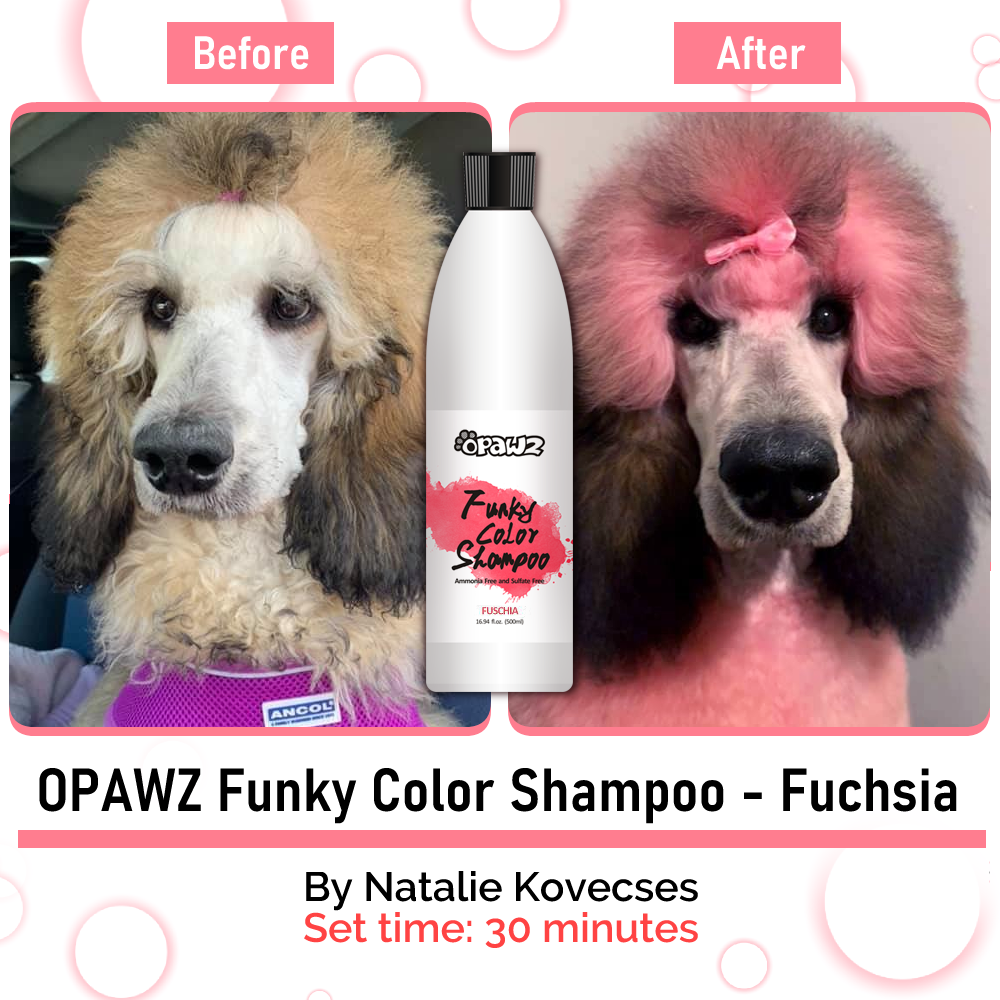 OPAWZ Funky Color Shampoo - Fuchsia - 500ml (FC08)