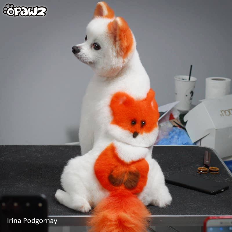 Dog Hair Dye - Ardent Orange (PD02)