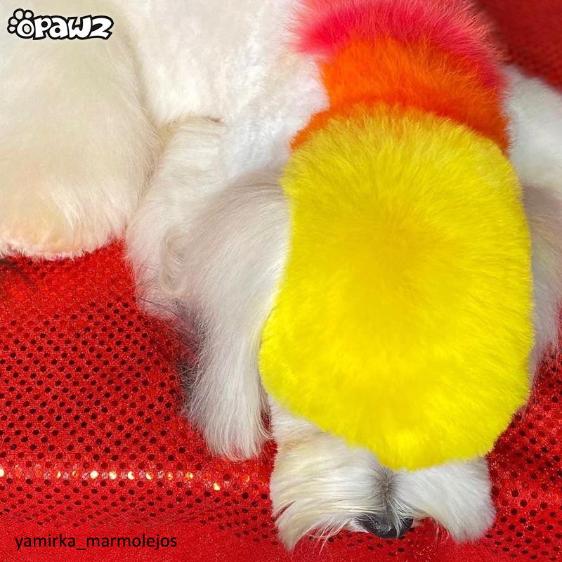 Dog Hair Dye-Glorious Yellow (PD04)