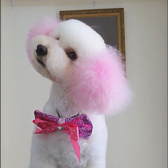 Pet Hair Chalk-Pink (TC01)