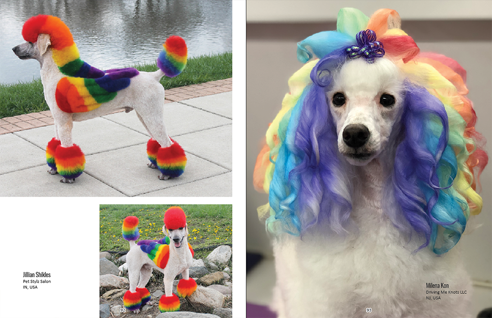 iFashion.pet Creative Grooming Collection Book 2020 Edition GB 03