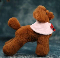 OPAWZ Teddybear Model Dog with 3 Colors Wig Value Pack (VP26)