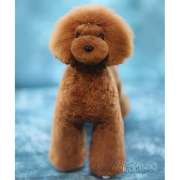 OPAWZ Toy Poodle Model Dog with High-Density Wig Value Pack (VP19)