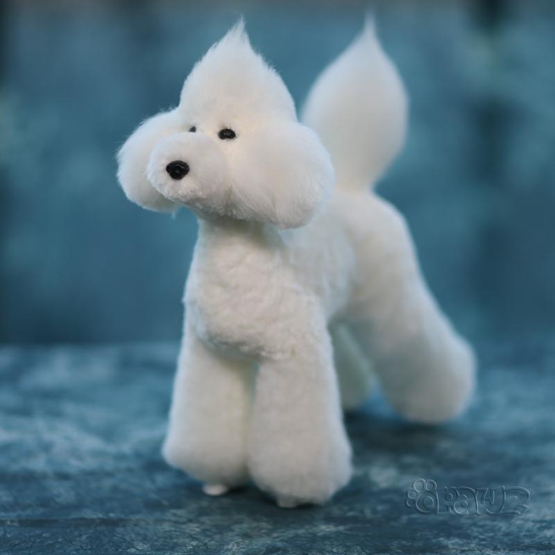 Toy Poodle Model Dog & Wigs – OPAWZ Canada
