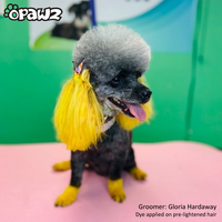 Dog Hair Dye - Glorious Yellow (PD04)