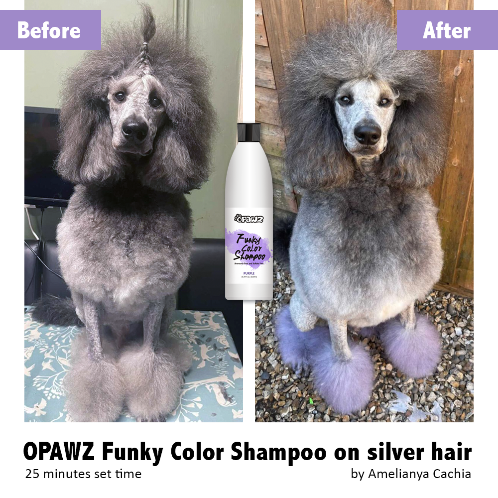 OPAWZ Funky Color Shampoo - Purple - 500ml (FC05)