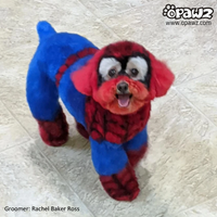 Dog Hair Dye-Cobalt Blue (PD11)