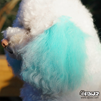 Pet Hair Chalk - Turquoise (TC12)