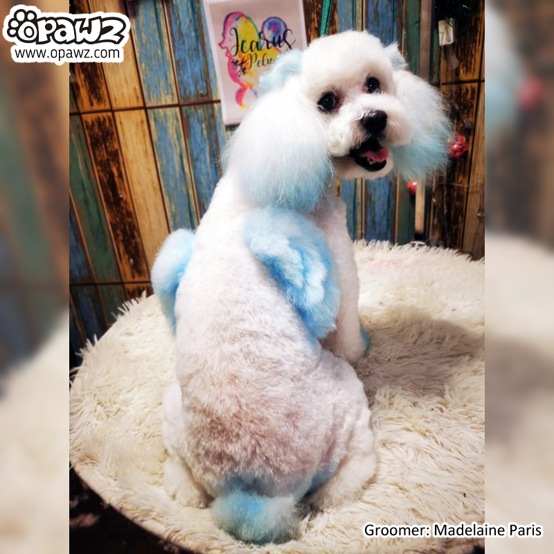 Pet Hair Chalk-Blue (TC02)