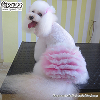 Pet Hair Chalk-Pink (TC01)