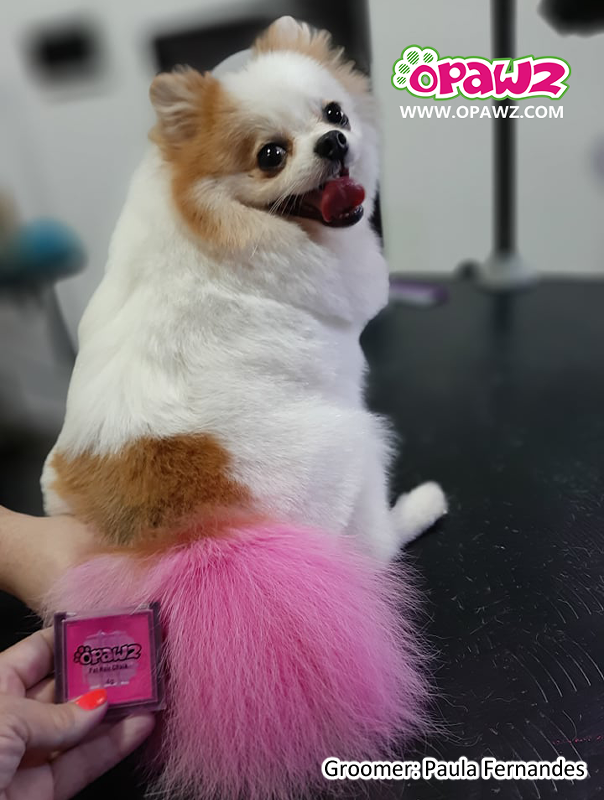 Pet Hair Chalk-Pink (TC01)