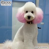 Pet Hair Chalk - 3 Colors Set (TC13)