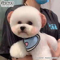 Pet Hair Chalk - Brown (TC10)