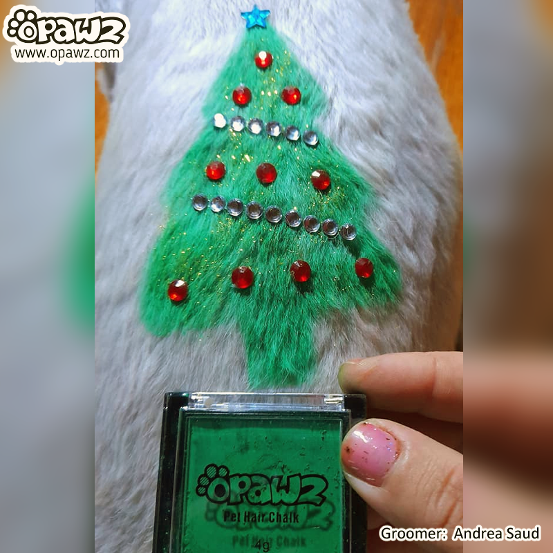 Pet Hair Chalk - Green (TC05)
