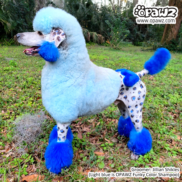 Dog Hair Dye-Cobalt Blue (PD11)