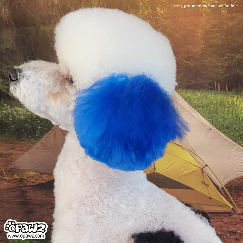 Dog Hair Dye-Cobalt Blue (PD11)