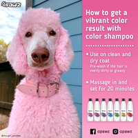OPAWZ Funky Color Shampoo - Fuchsia - 500ml (FC08)