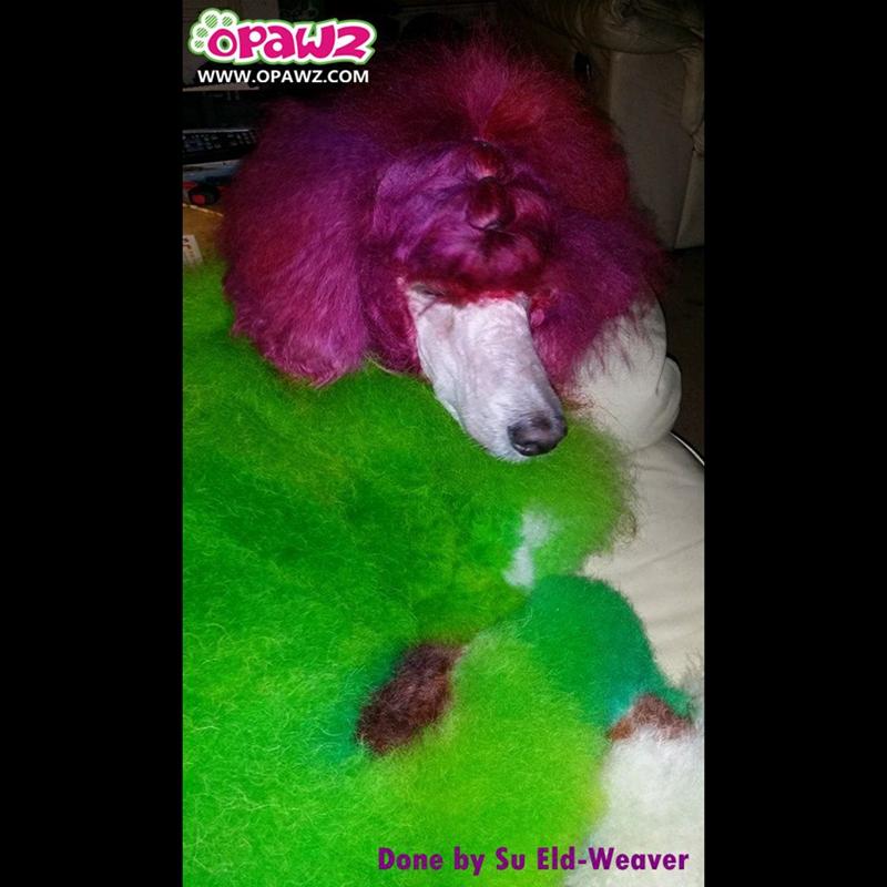 Dog Hair Dye-Profound Green (PD09)