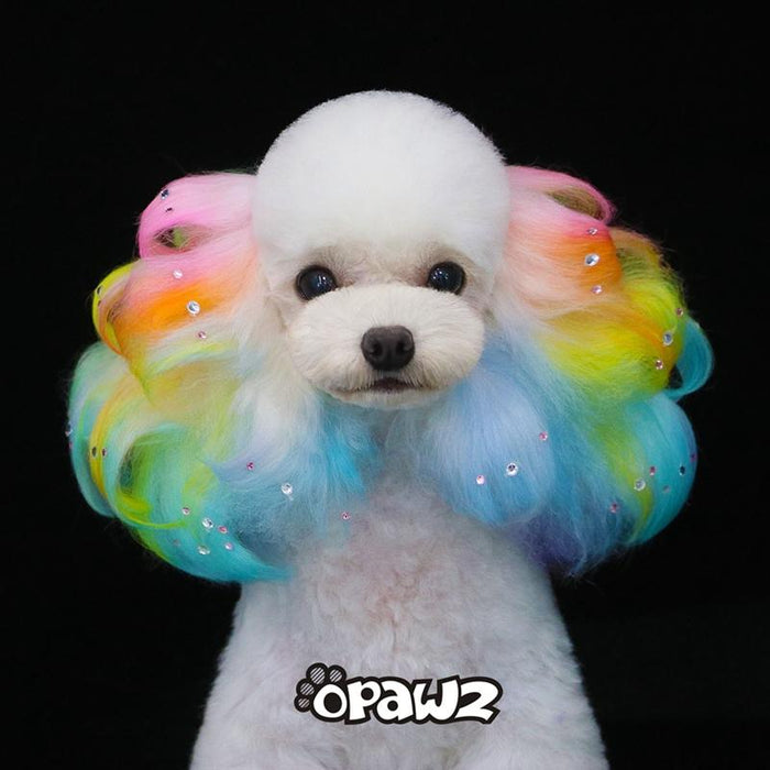 21pcs Dog Dye Groomer Starter Value Pack (VP04)