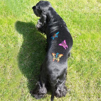 Pet Hair Chalk - Orange (TC03)