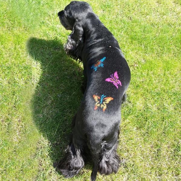 Pet Hair Chalk - Orange (TC03)