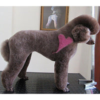 Pet Hair Chalk - 3 Colors Set (TC13)