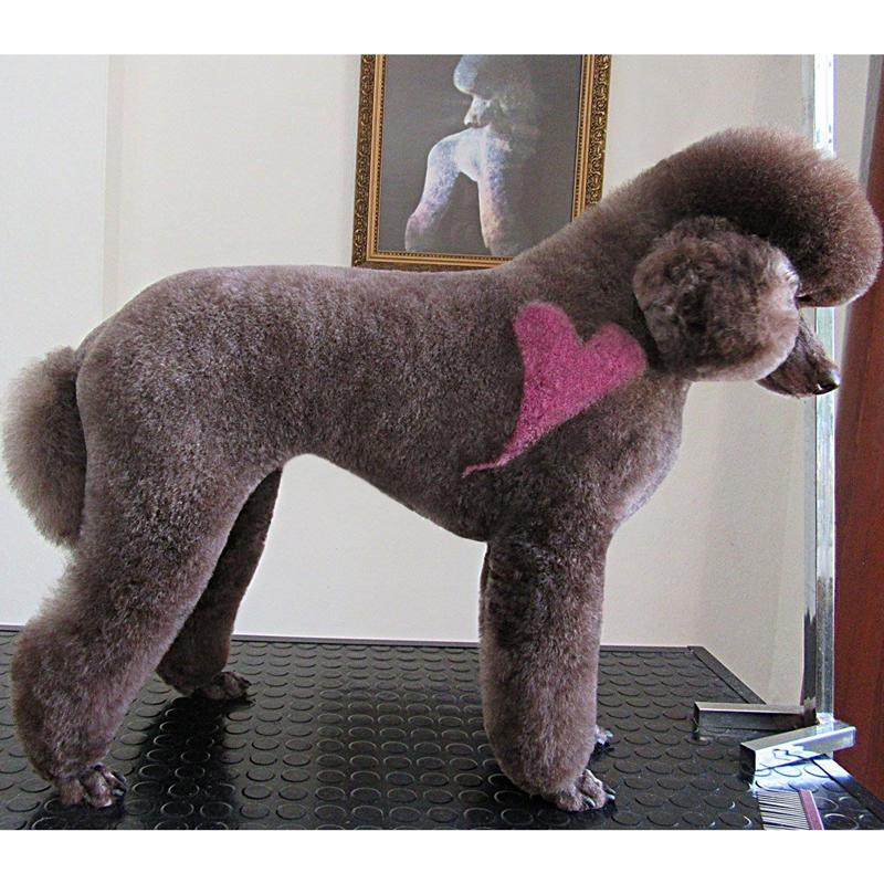 Pet Hair Chalk - 3 Colors Set (TC13)