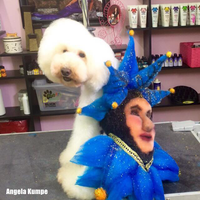Dog Hair Dye-Cobalt Blue (PD11)