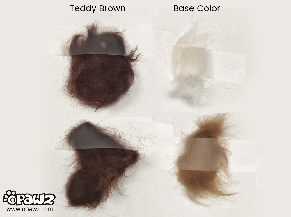 Dog Hair Dye-Teddy Brown (PD30)