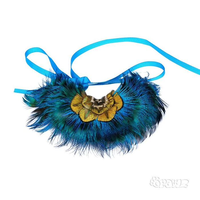 Peacock Feather Pet Collar - A045