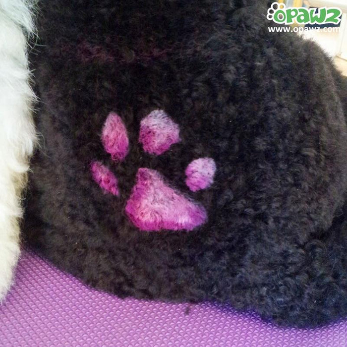 Pet Hair Chalk - White (TC07)