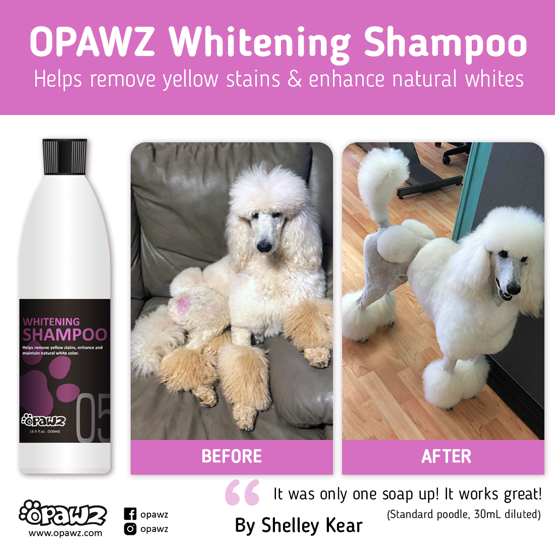 Whitening shampoo deals for white dogs