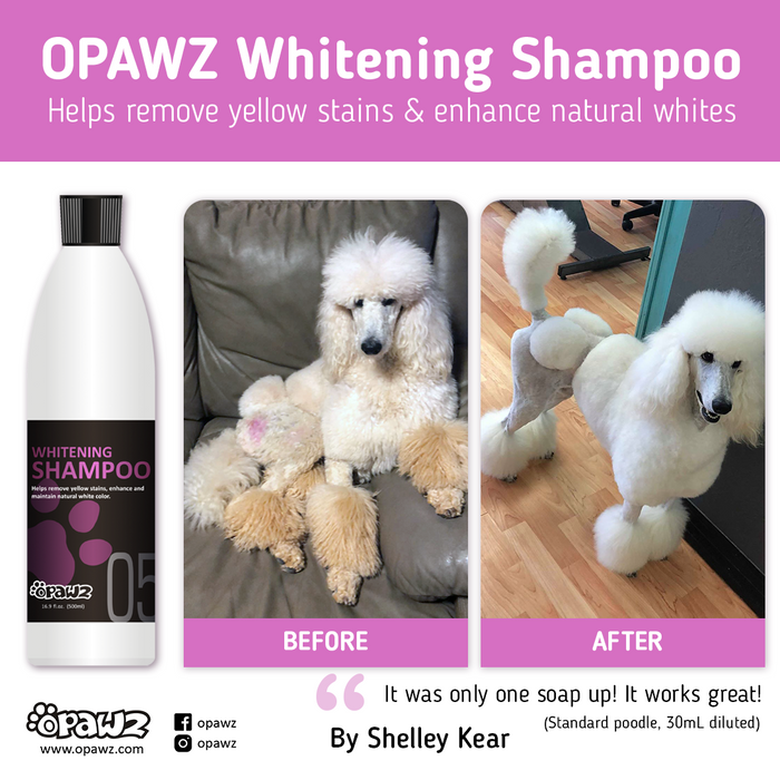 OPAWZ 05 Whitening Shampoo